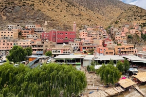 Marrakech: cascate della valle dell'Ourika ed escursione guidata