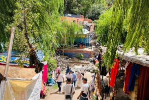 Marrakech: cascate della valle dell'Ourika ed escursione guidata