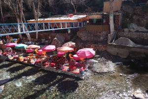 Marrakech: cascate della valle dell'Ourika ed escursione guidata
