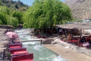 Marrakech: cascate della valle dell'Ourika ed escursione guidata