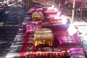 Marrakech: cascate della valle dell'Ourika ed escursione guidata