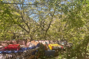 Marrakech: cascate della valle dell'Ourika ed escursione guidata