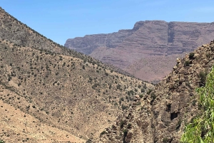 Marrakech: cascate della valle dell'Ourika ed escursione guidata