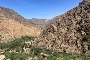 Marrakech: cascate della valle dell'Ourika ed escursione guidata