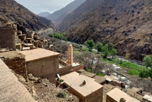 Marrakech: cascate della valle dell'Ourika ed escursione guidata