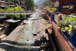 Marrakech: cascate della valle dell'Ourika ed escursione guidata