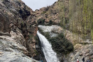 Marrakech: wandeltocht naar de watervallen van de Ourika-vallei en lunch aan de rivier