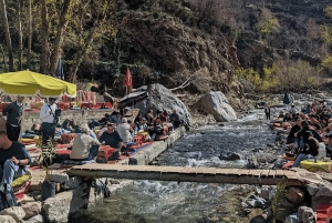 Marrakech: wandeltocht naar de watervallen van de Ourika-vallei en lunch aan de rivier