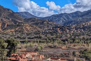 Marrakech: wandeltocht naar de watervallen van de Ourika-vallei en lunch aan de rivier