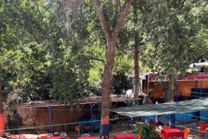 Marrakech: wandeltocht naar de watervallen van de Ourika-vallei en lunch aan de rivier