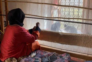 Marrakech: Ourika-Tal - Wasserfälle & Mittagessen mit einem Einheimischen