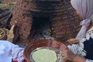 Marrakech: Valle di Ourika - Cascate e pranzo con un locale