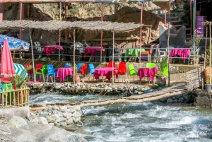 Marrakech : Montagnes de l'Atlas, cascade de l'Ourika avec guide+déjeuner