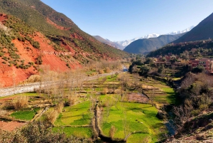 Marrakech : Montagnes de l'Atlas, cascade de l'Ourika avec guide+déjeuner