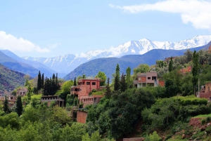 Marrakech : Montagnes de l'Atlas, cascade de l'Ourika avec guide+déjeuner