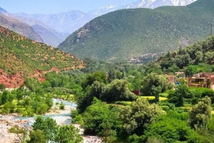 Marrakech : Montagnes de l'Atlas, cascade de l'Ourika avec guide+déjeuner