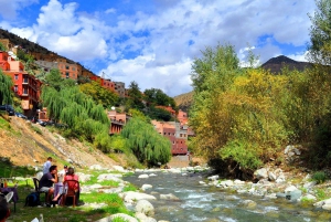 Marrakech : Montagnes de l'Atlas, cascade de l'Ourika avec guide+déjeuner