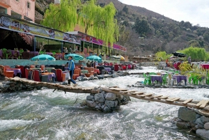 Marrakech : Montagnes de l'Atlas, cascade de l'Ourika avec guide+déjeuner