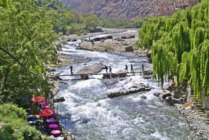 Marrakech : Montagnes de l'Atlas, cascade de l'Ourika avec guide+déjeuner