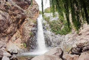 Marrakech : Montagnes de l'Atlas, cascade de l'Ourika avec guide+déjeuner