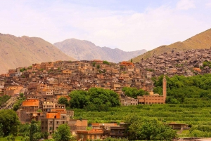 Marrakech : Montagnes de l'Atlas, cascade de l'Ourika avec guide+déjeuner