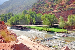 Marrakech : Montagnes de l'Atlas, cascade de l'Ourika avec guide+déjeuner