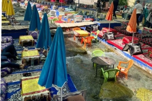 Marrakech: Valle dell'Ourika con guida alle cascate + pranzo