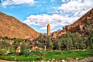 Marrakech: Valle dell'Ourika con guida alle cascate + pranzo