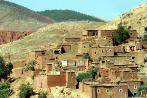 Marrakech: Valle dell'Ourika con guida alle cascate + pranzo