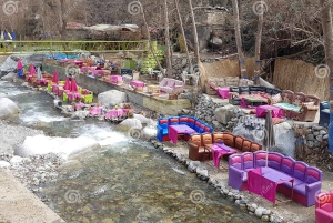 Marrakech: Valle dell'Ourika con guida alle cascate + pranzo