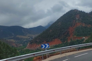 Marrakech: Valle dell'Ourika con guida alle cascate + pranzo