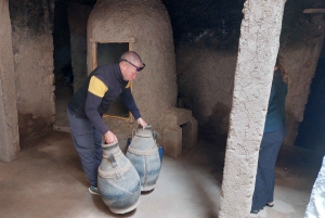 Marrakech: Valle dell'Ourika con guida alle cascate + pranzo