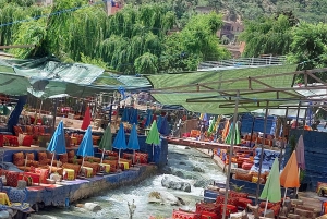 Marrakech: Valle dell'Ourika con guida alle cascate + pranzo