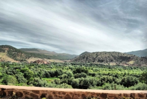 Marrakech: Ourikavallei, Atlasgebergte, waterval & lunch