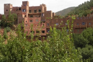 Marrakech: Ourikavallei, Atlasgebergte, waterval & lunch