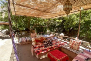 Marrakech: Ourikavallei, Atlasgebergte, waterval & lunch