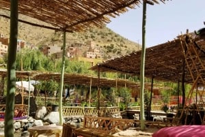Marrakech: Ourikavallei, Atlasgebergte, waterval & lunch