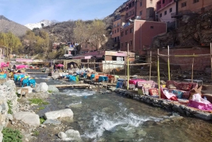 Marrakech: Ourikavallei, Atlasgebergte, waterval & lunch