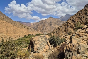 Marrakech : cascade de l'Ourika, montagnes de l'Atlas, poterie et déjeuner