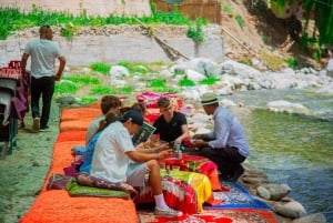Marrakesh: Ourika-vattenfallen, Atlasbergen, guide + lunch