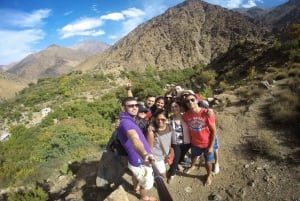 Marrakesh: Ourika-vattenfallen, Atlasbergen, guide + lunch