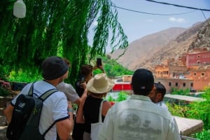 Marrakesh: Ourika-vattenfallen, Atlasbergen, guide + lunch