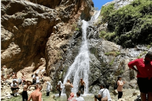 Marrakech : Ourika Waterfalls, Atlas mountains, Guide+ lunch