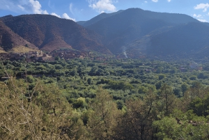 Marrakech : Ourika Waterfalls, Atlas mountains, Guide+ lunch