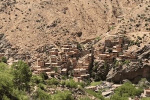 Marrakech : Ourika Waterfalls, Atlas mountains, Guide+ lunch