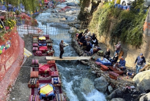 Marrakech : Ourika Waterfalls, Atlas mountains, Guide+ lunch