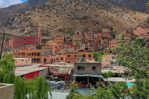 Marrakech : Ourika Waterfalls, Atlas mountains, Guide+ lunch