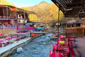 Marrakech: Cascadas de Ourika, montañas del Atlas, guía + almuerzo.