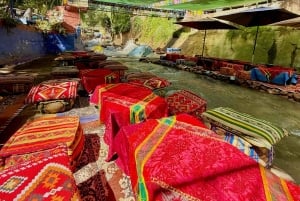 Marrakech: Cascadas de Ourika, montañas del Atlas, guía + almuerzo.