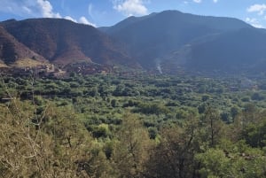 Marrakech: Cascadas de Ourika, montañas del Atlas, guía + almuerzo.